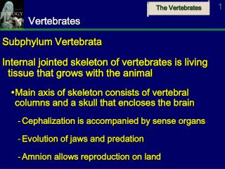 Vertebrates