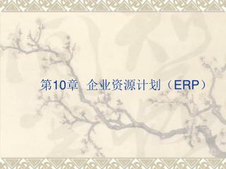 第 10 章 企业资源计划（ ERP ）