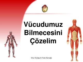 Vücudumuz Bilmecesini Çözelim