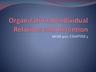 Organizational/Individual Relations and Retention