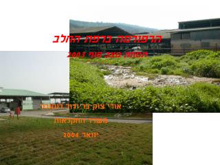 הרפורמה ברפת החלב תמונת מצב סוף 2003