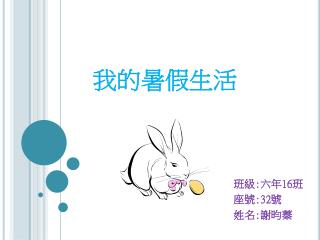 我的暑假生活