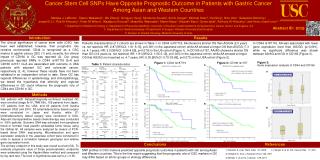 Cancer Stem Cell SNPs Have Opposite Prognostic Outcome in Patients with Gastric Cancer