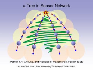  Tree in Sensor Network