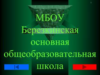 МБОУ Березкинская основная общеобразовательная школа