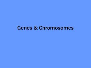Genes &amp; Chromosomes