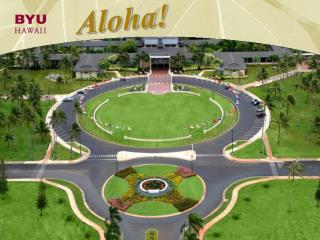 Aloha!