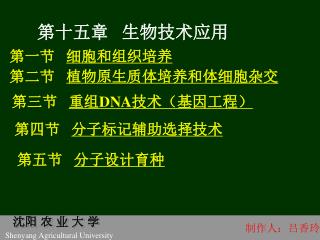 第十五章 生物技术应用