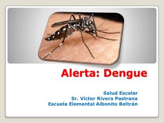 Alerta : Dengue 