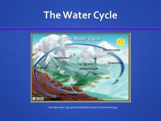 The Water Cycle