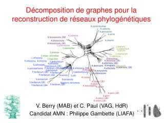 Décomposition de graphes pour la reconstruction de réseaux phylogénétiques