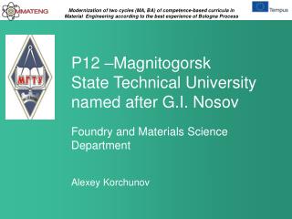 P12 – Magnitogorsk State Technical University named after G.I. Nosov