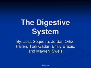 The Digestive System