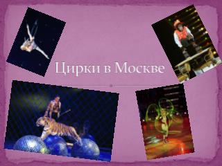Цирки в Москве