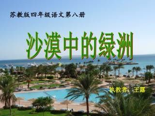 苏教版四年级语文第八册