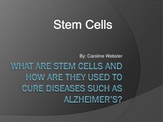 What are stem cells and how are they used to cure diseases such as Alzheimer’s?