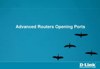 Advanced Routers Opening Ports