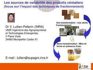 Dr V. Lullien-Pellerin (INRA) UMR Ingénierie des Agropolymères et Technologies Emergentes