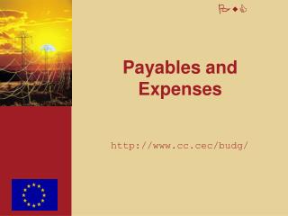 Payables and Expenses