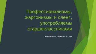 Профессионализмы, жаргонизмы и сленг, употребляемы старшеклассниками