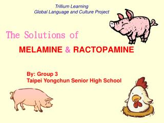 MELAMINE &amp; RACTOPAMINE