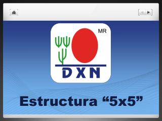 Estructura “5x5”