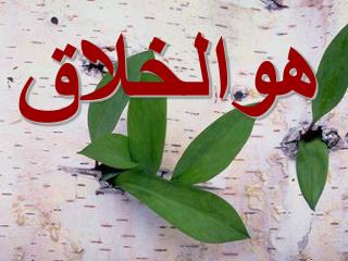 هوالخلاق