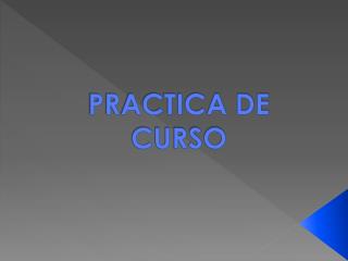 PRACTICA DE CURSO