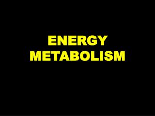 ENERGY METABOLISM