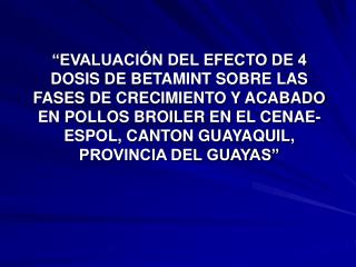 INTRODUCCIÓN