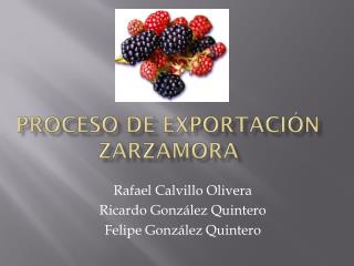 Proceso de Exportación Zarzamora