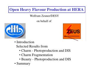 Wolfram Zeuner/DESY on behalf of