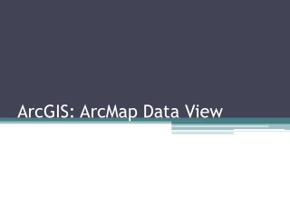 ArcGIS: ArcMap Data View