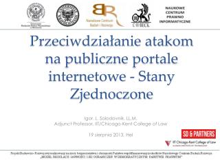 Przeciwdziałanie atakom na publiczne portale internetowe - Stany Zjednoczone