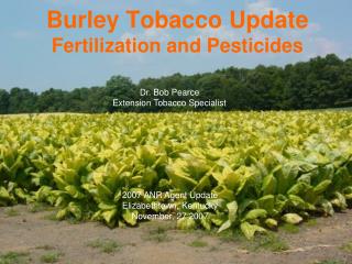 Burley Tobacco Update Fertilization and Pesticides