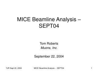MICE Beamline Analysis – SEPT04