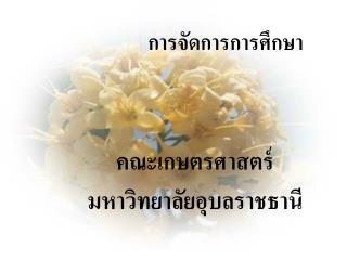 การจัดการการศึกษา