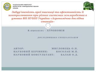 Автор: МИГЛОВЕЦЬ о.П . Науковий керівник: Косолап М.П.