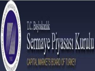 T.C. BAŞBAKANLIK SERMAYE PİYASASI KURULU (SPK)