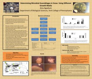 Determining Microbial Assemblages in Snow Using Different G rowth Media Ama Agyekum