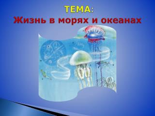 ТЕМА : Жизнь в морях и океанах