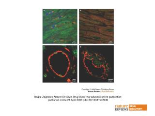 Regitz-Zagrosek Nature Reviews Drug Discovery advance online publication;