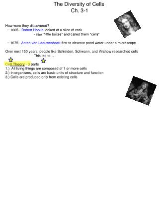 How were they discovered? ~ 1665 - Robert Hooke looked at a slice of cork