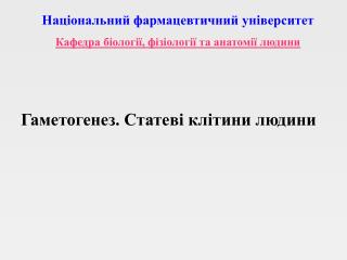 Гаметогенез. Статеві клітини людини