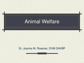 Animal Welfare