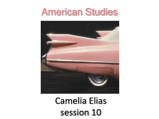 Camelia Elias session 10