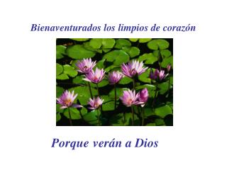 Bienaventurados los limpios de corazón