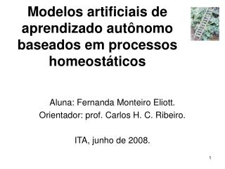 Modelos artificiais de aprendizado autônomo baseados em processos homeostáticos