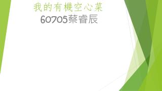 我的有機空心菜