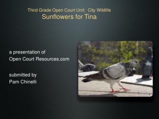 Third Grade Open Court Unit: City Wildlife Sunflowers for Tina